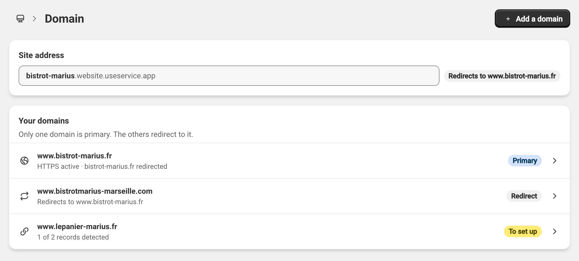Domain screen: a main domain on HTTPS, and redirects